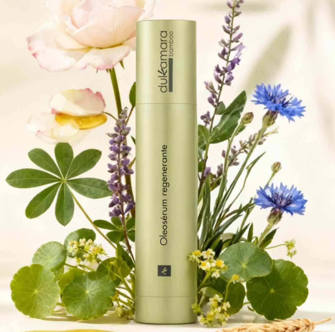 Belleza Dulkamara navidad