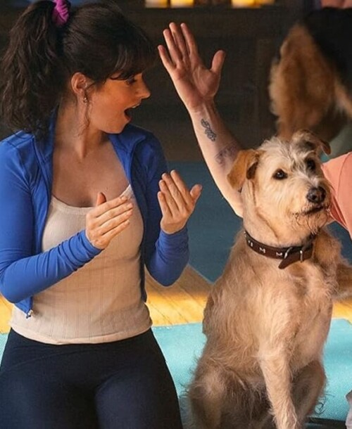 “Merv”: Ya tenemos fecha de estreno y el tráiler de la nueva comedia romántica navideña que llega a Prime Video