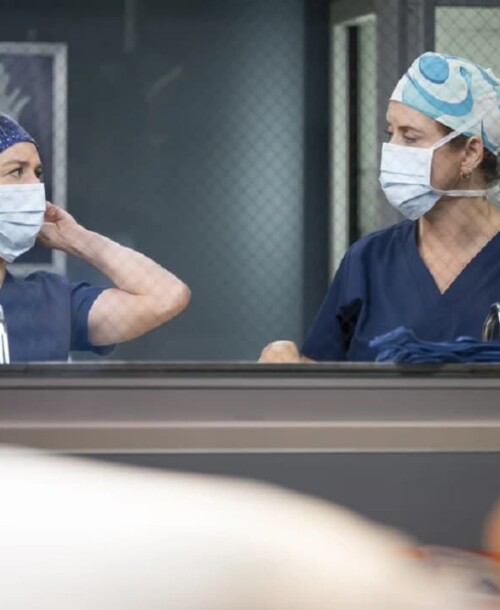 «Anatomía de Grey» Temporada 22 Capítulo 10: Strip That Down