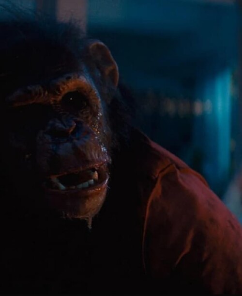 «Primate» el terror más animal llega a las salas de cine