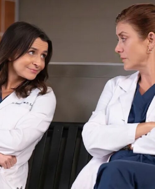 «Anatomía de Grey» Temporada 22 Capítulo 11: (If You Want It) Do It Yourself