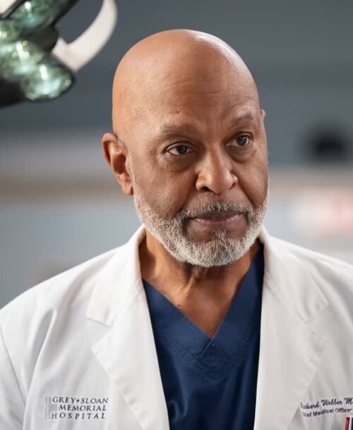 «Anatomía de Grey» Temporada 22 Capítulo 13: Love the Way You Lie