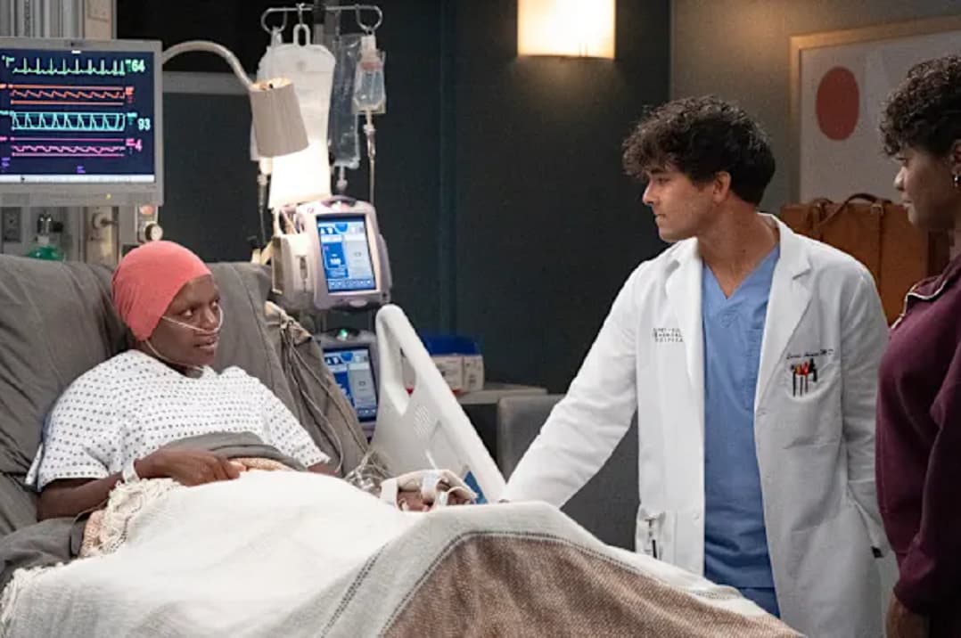 Anatomía de Grey Temporada 22 capítulo 14 