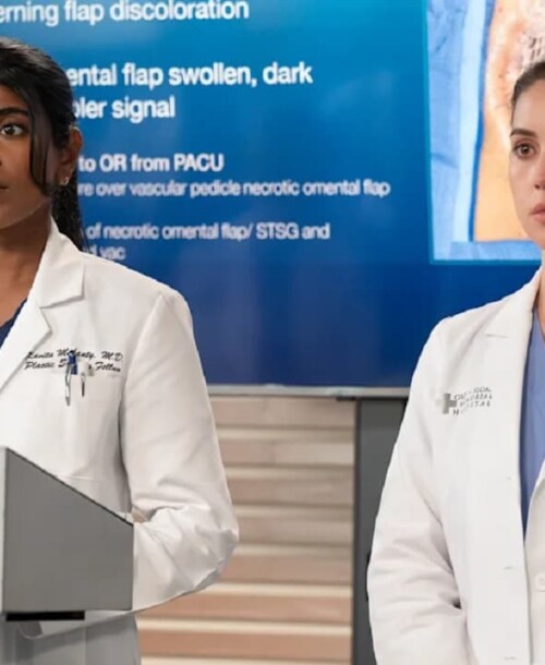 «Anatomía de Grey» Temporada 22 Capítulo 14: Wrecking Ball