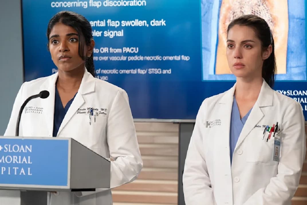 «Anatomía de Grey» Temporada 22 Capítulo 14: Wrecking Ball