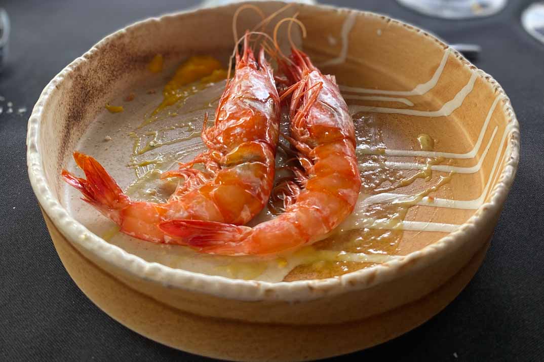 Ruge gamba roja