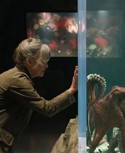 «Criaturas luminosas», con Sally Field – Estreno en Netflix