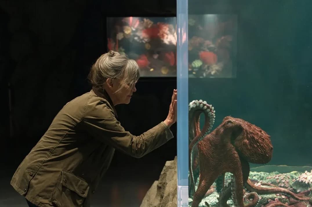 «Criaturas luminosas», con Sally Field – Estreno en Netflix