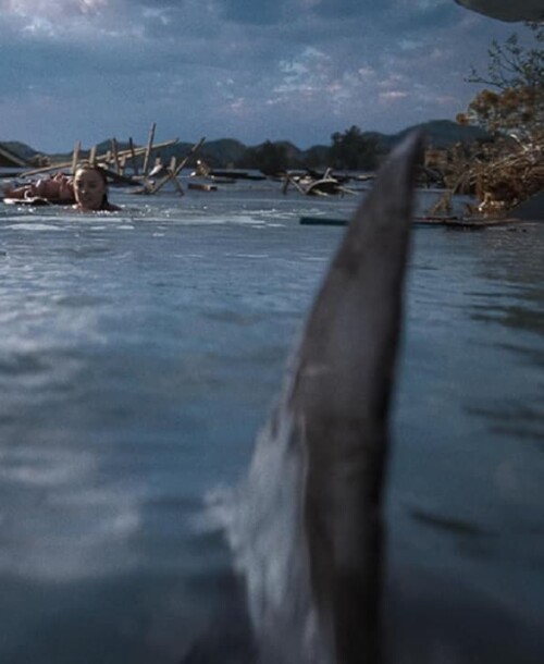 «Embestida», la nueva fantasía con tiburones que llega a Netflix