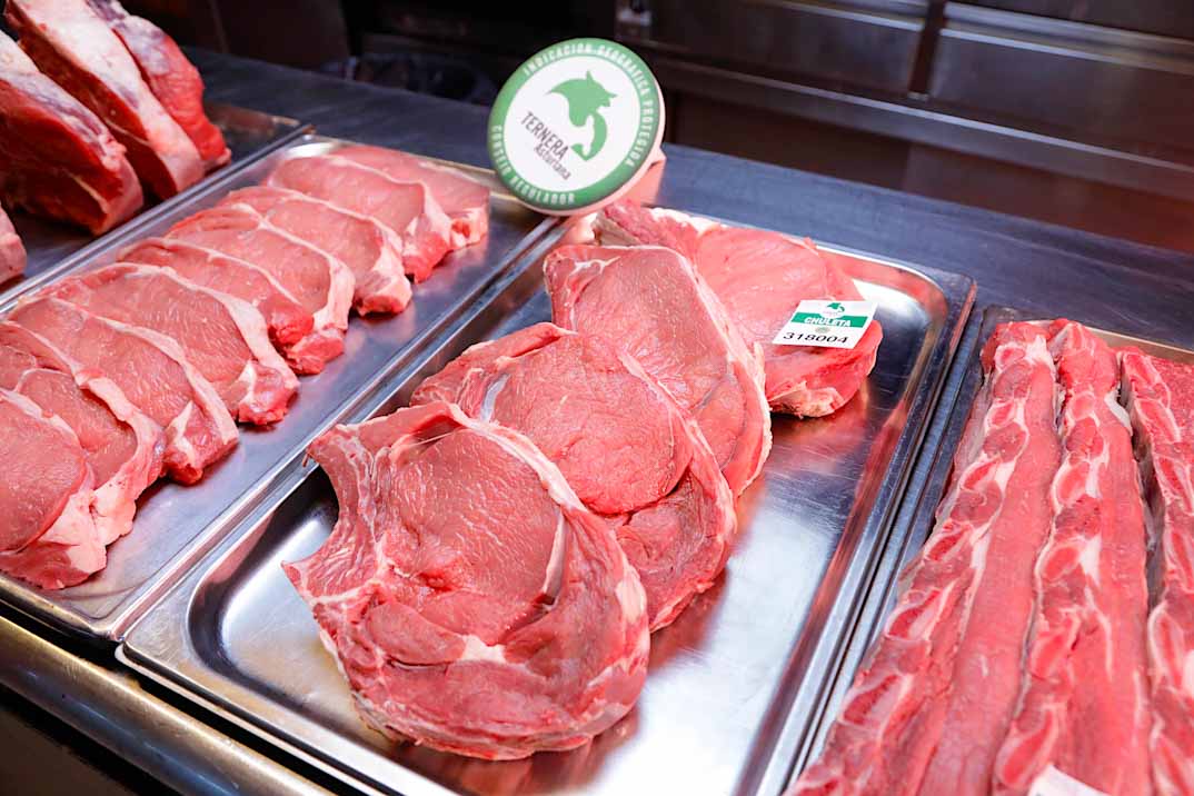 Cangas narcea entrada