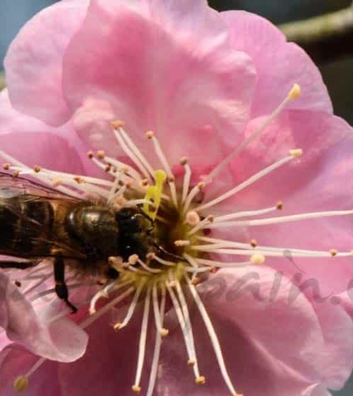 Alergias no sólo en primavera