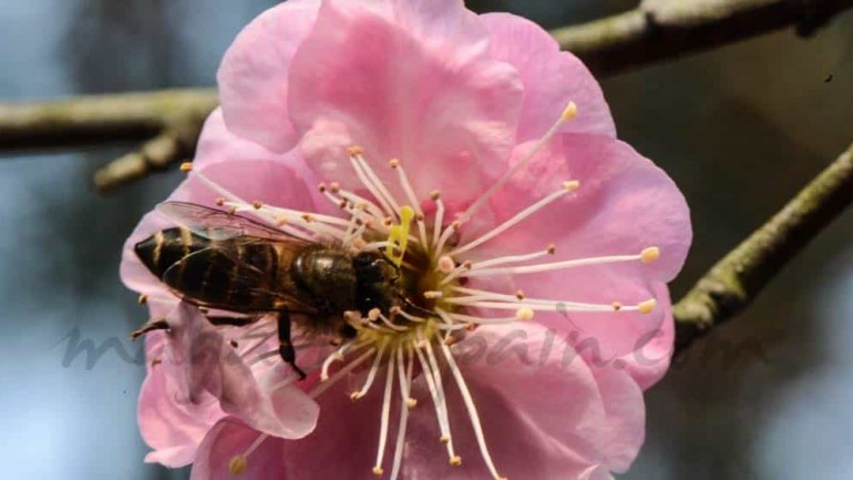 Alergias no sólo en primavera