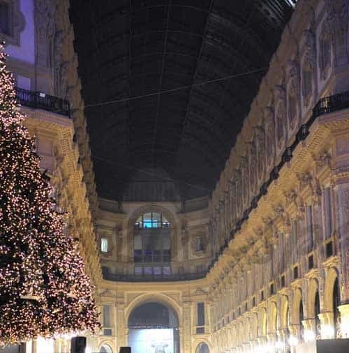 Swarosvsky enciende su tradicional árbol navideño