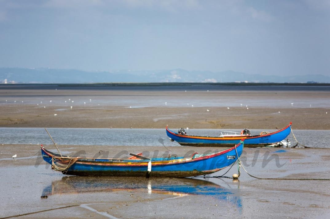 Alcochete Estuario del Tajo