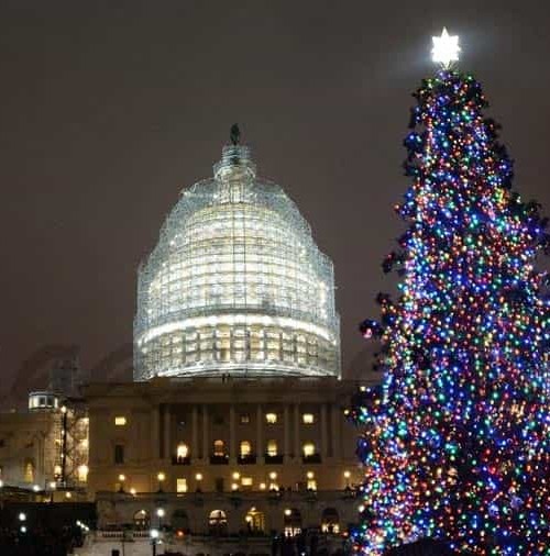 El Capitolio enciende su tradicional árbol de Navidad