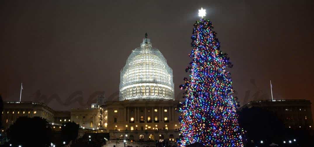 El Capitolio enciende su tradicional árbol de Navidad