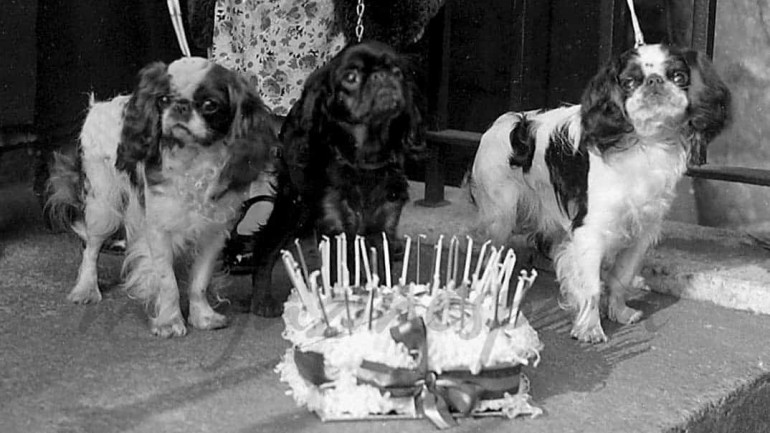 Cumpleaños, ¡Feliz!