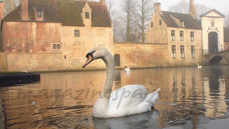 Brujas: la Venecia del Norte…