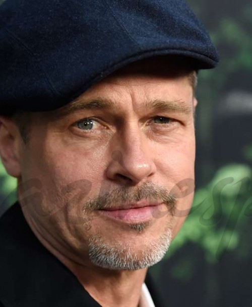 Brad Pitt un guapo “mohicano”