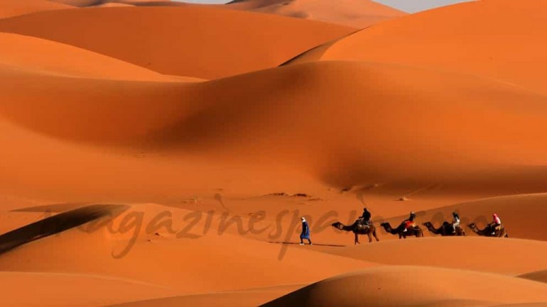 Cinco brindis para despedir el año: Parte II