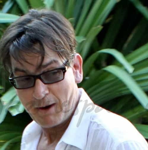 Charlie Sheen no supera sus problemas con el alcohol