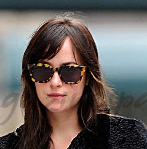 Dakota Johnson con Zeppelin