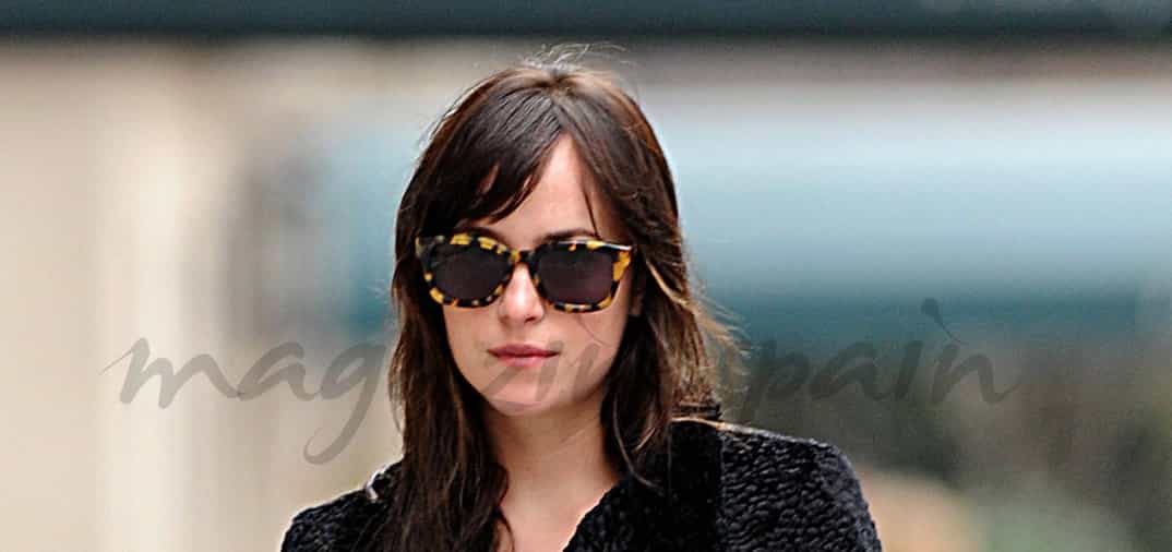 Dakota Johnson con Zeppelin