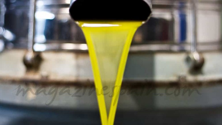 La fiesta del aceite