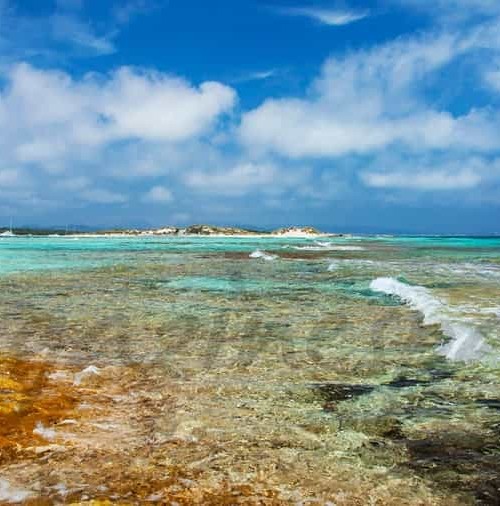 Disfruta la Navidad en Formentera