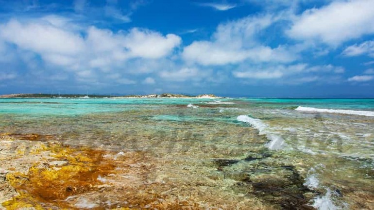 Disfruta la Navidad en Formentera