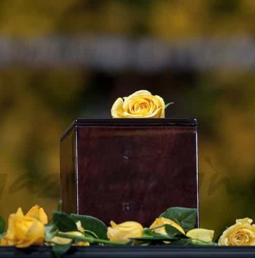 Emotivo funeral a Gabo en México
