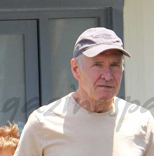 Harrison Ford vuelve a volar