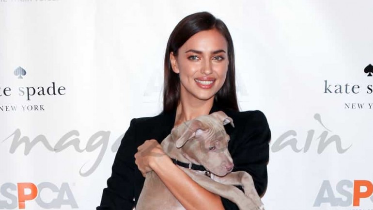 Irina Shayk, solidaria con los animales