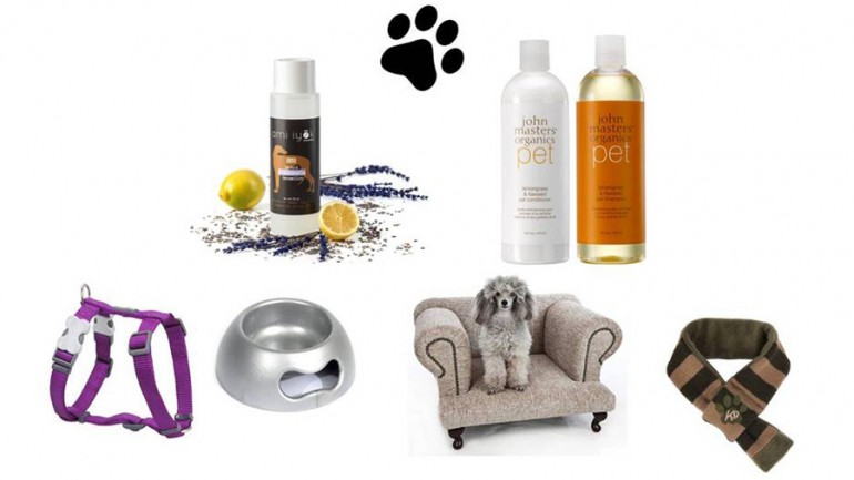 Cómo mimar a nuestras mascotas