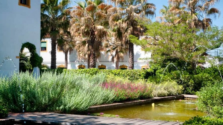 Disfruta del ocio y tratamientos termales