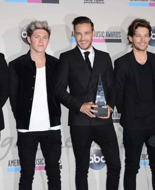 Presentacion en España de “One Direction: This is us”