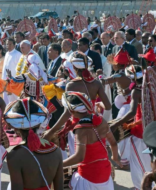 El Papa Francisco y los elefantes