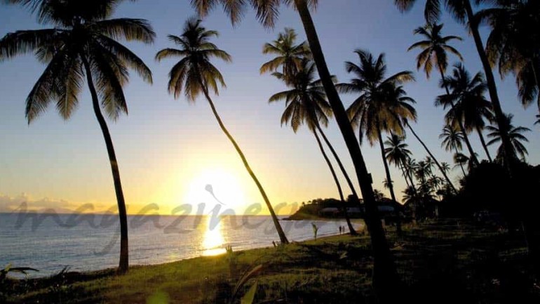 Sol y cáncer de piel: 2ª Parte