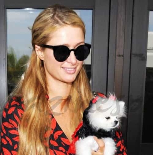 Paris Hilton y su nuevo perrito