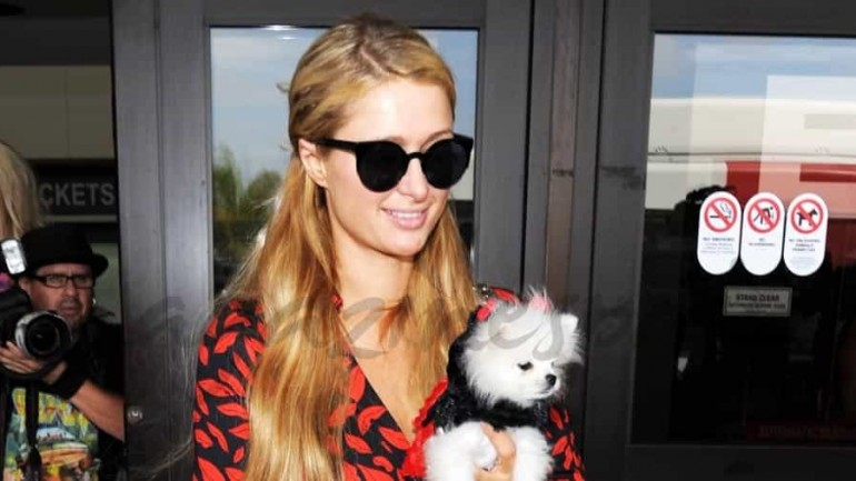 Paris Hilton y su nuevo perrito