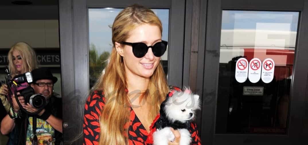 Paris Hilton y su nuevo perrito