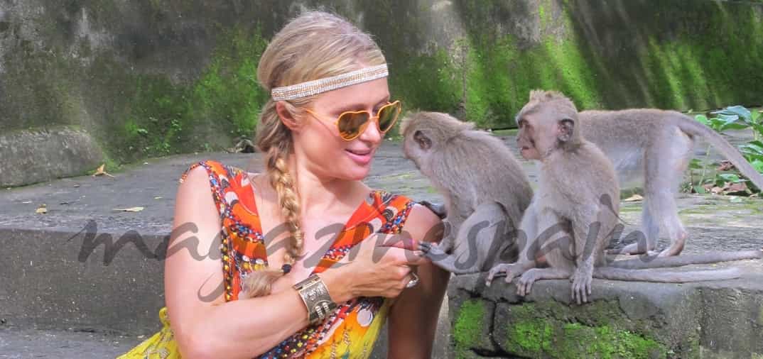 Paris Hilton y el mono coqueto