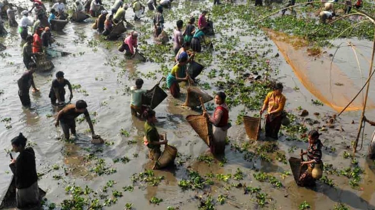 Habrá para todos …