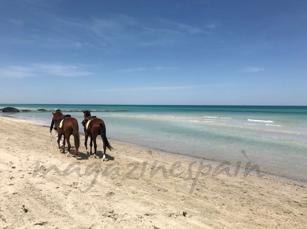 Playa Djerba