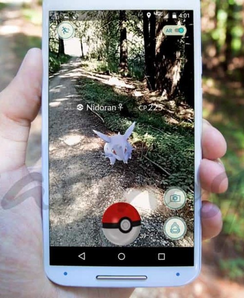 Los pokémons se van de escapada rural