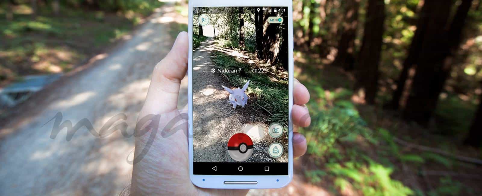 Los pokémons se van de escapada rural