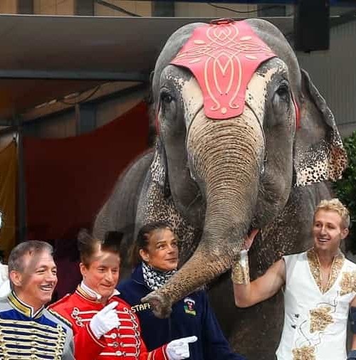 La princesa Estefanía vuelve al circo