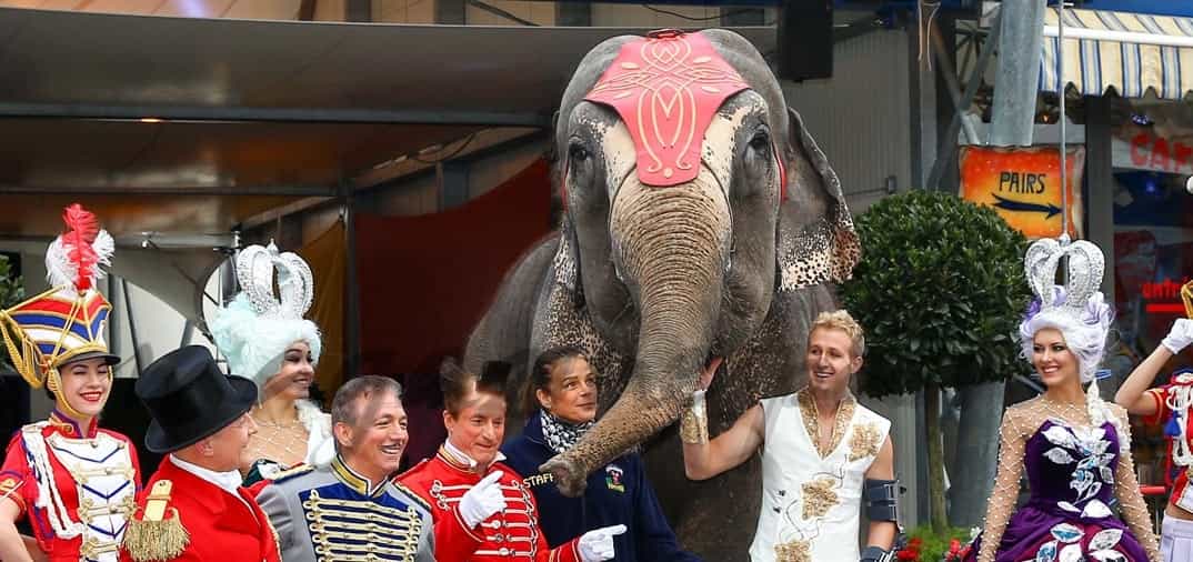 La princesa Estefanía vuelve al circo