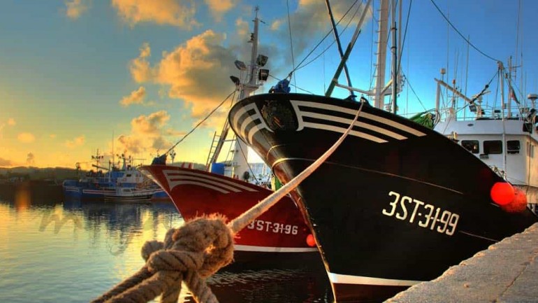 Las «Damas de la Anchoa»