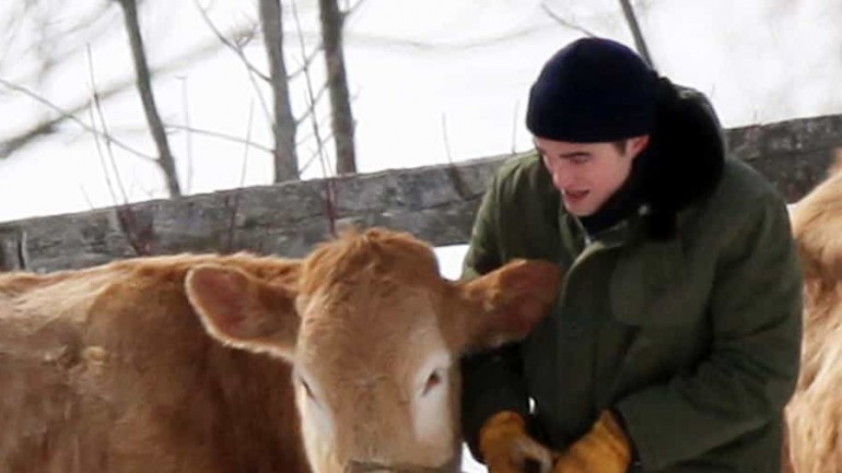 Un vaquero en dificultades, Robert Pattinson